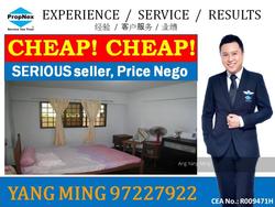 Blk 403 Pandan Gardens (Jurong East), HDB 5 Rooms #106976422